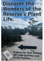 Leaf challenge poster